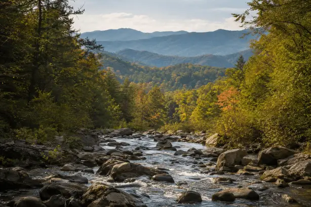 A rocky creek beneath the North Georgia mountains